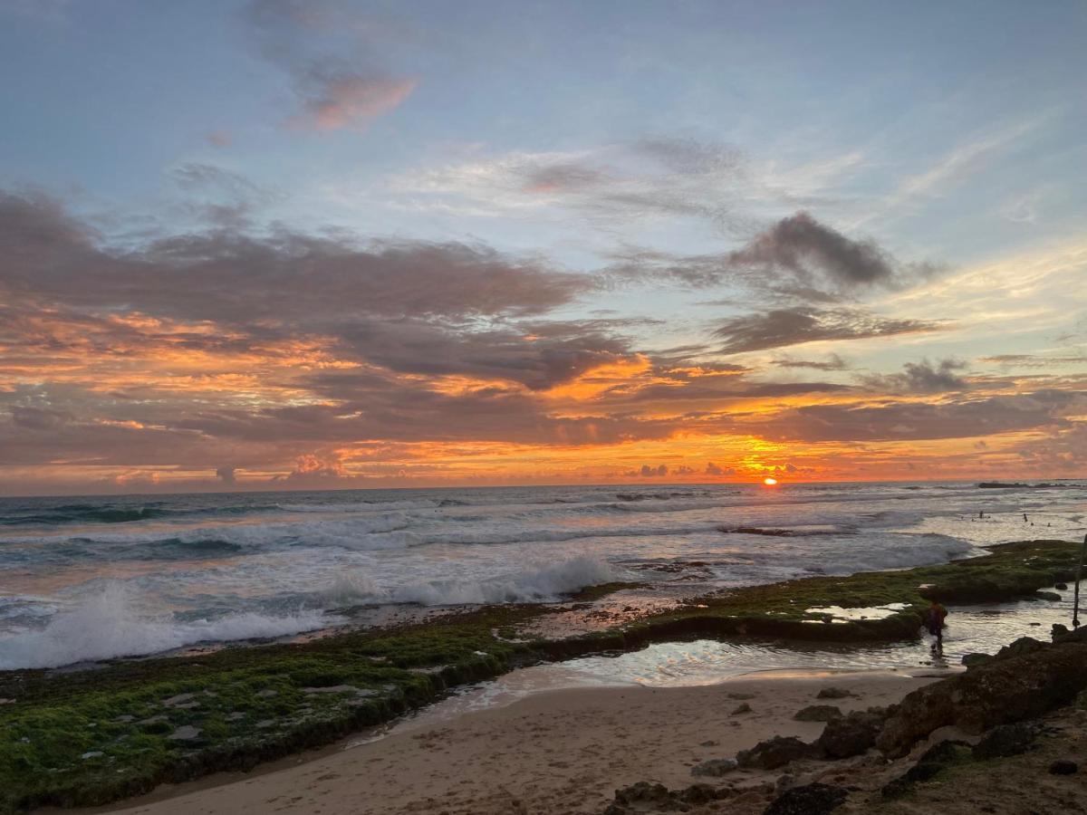 Shirani Nature Palace Weligama Dış mekan fotoğraf